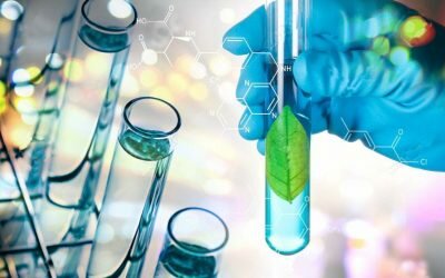 Estudios científicos sobre la Spirulina de los últimos años